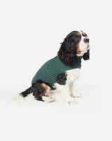 Grøn strikket hundesweater fra Fashion Dog - art. - Fashion Dog - Petlux