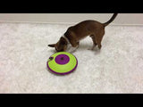 Dog Treat Maze - Aktivitets Spil - Nina Ottosson - Petlux