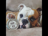 Paw Soother - Potecreme - Stick - 59 ml - Natural Dog Company - Petlux