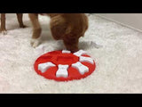 Dog Smart - Hide n Seek & Treat - Nina Ottosson - Petlux
