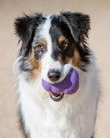 KONG Senior - Lilla - KONG - Petlux