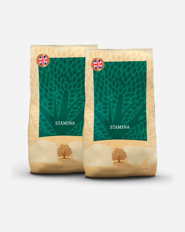 Essential Foods Stamina – 2 x 10 kg – Energirigt hundefoder til aktive hunde – Spar på 2 poser
