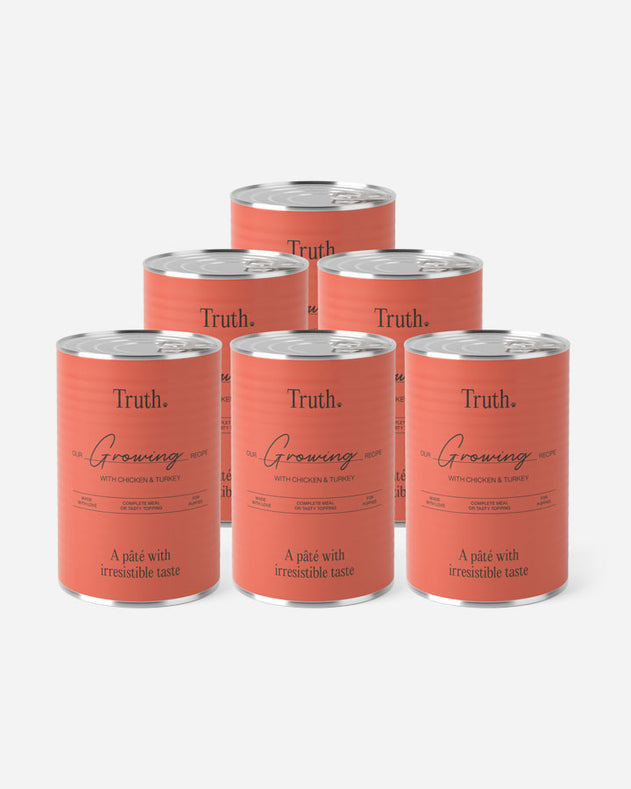 Truth Growing Paté - til hvalpe - Kylling & Kalkun (6x400g)