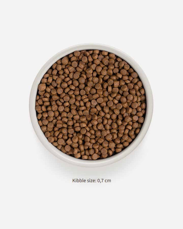 Grandorf Adult Indoor 4 Meat – kattefoder – 2 kg