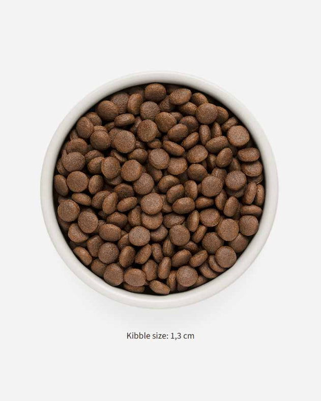 Grandorf Fresh Adult Medium & Maxi – Frisk lam & sød kartoffel 10 kg
