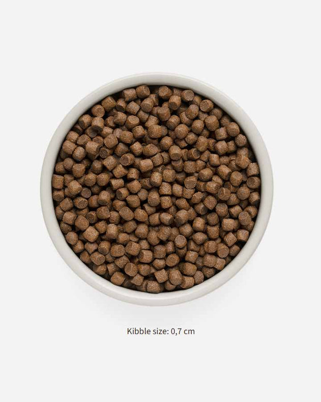 Grandorf Adult Mini – lam og kalkun – 3 kg