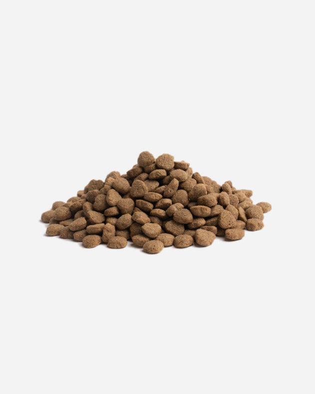Essential Foods Balance – 10 kg – Single protein med kalkun, ris og havre