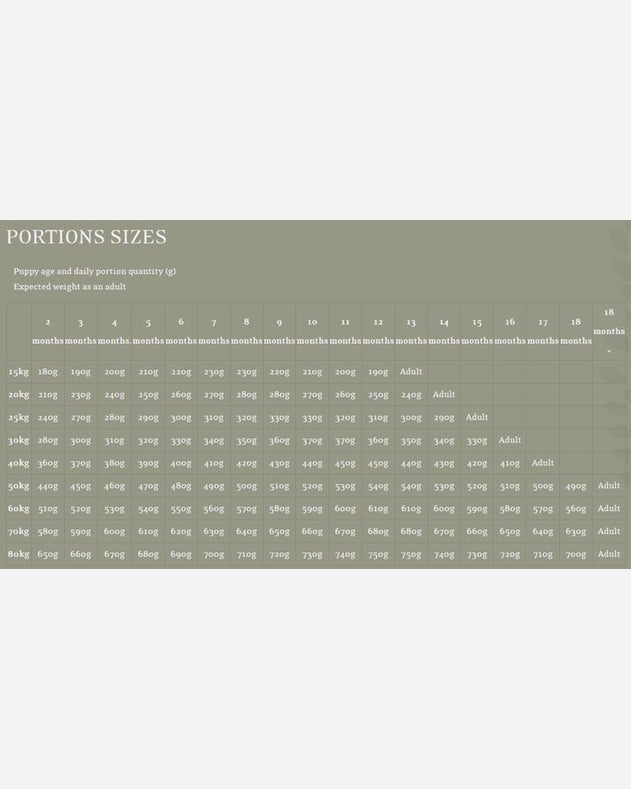 Essential The Beginning Large Breed - 10 kg - til  - Essential Foods - Petlux