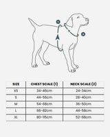 Comfort Walk Air Sele V3.0 - Black - DOG Copenhagen - Petlux