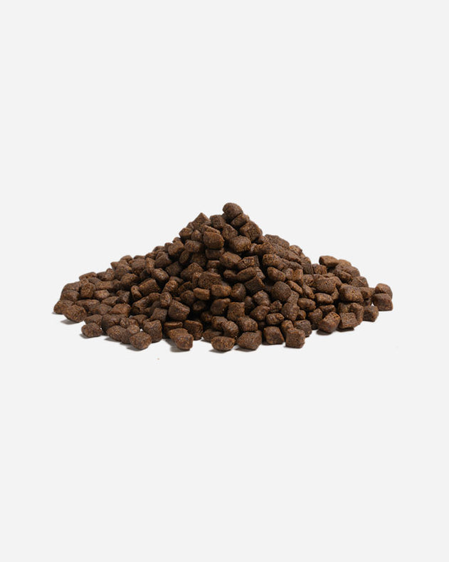 Essential Foods Highland Living – 2.5 kg – Kornfrit hundefoder med kalkun, okse og laks