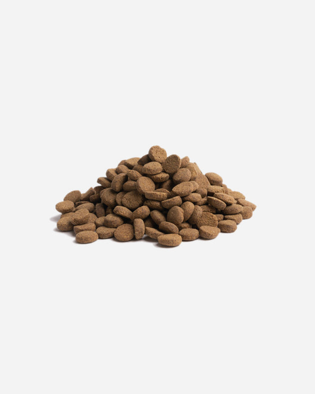 Essential Foods Older – 10 kg – Kornfrit seniorhundefoder med kylling, and og laks