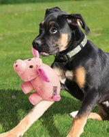 KONG Phatz  Pig
