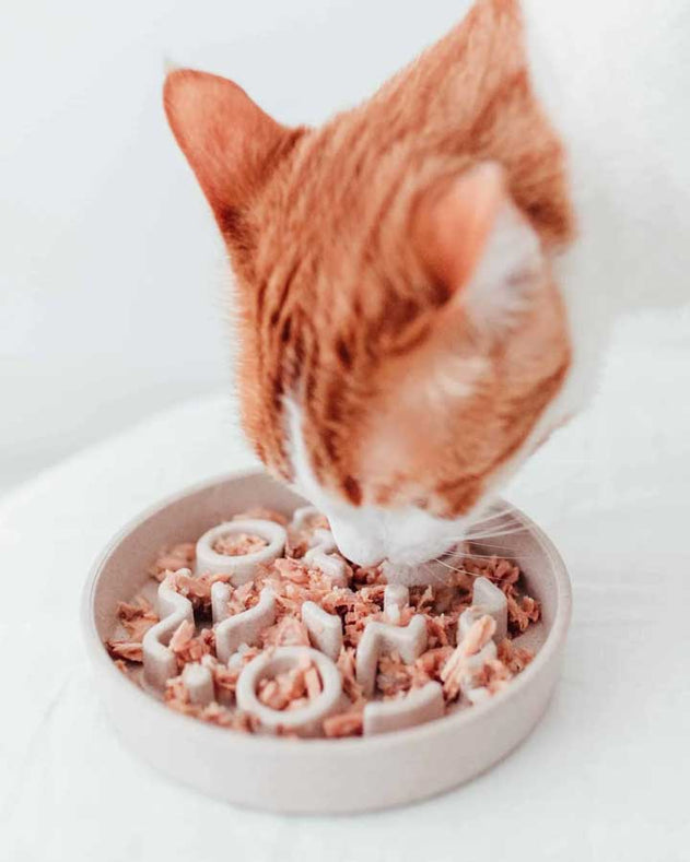 Slow Feeder til Kat