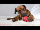 KONG Classic - Rød - KONG - Petlux