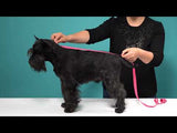 Grå fleece jakke til hund fra Fashion Dog art. 106 - Fashion Dog - Petlux